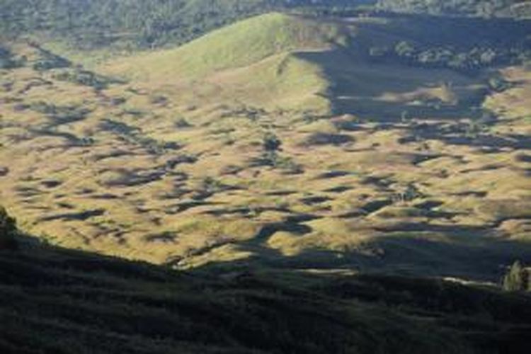 Jajaran perbukitan yang dimulai dari Pos 2 hingga Pos 3 jalur Doro Ncanga Gunung Tambora, Senin (23/3/2015). Bukit-bukit di Gunung Tambora didominasi oleh padang sabana.