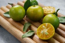 Cara Menanam Jeruk Lemon Cui di Pot