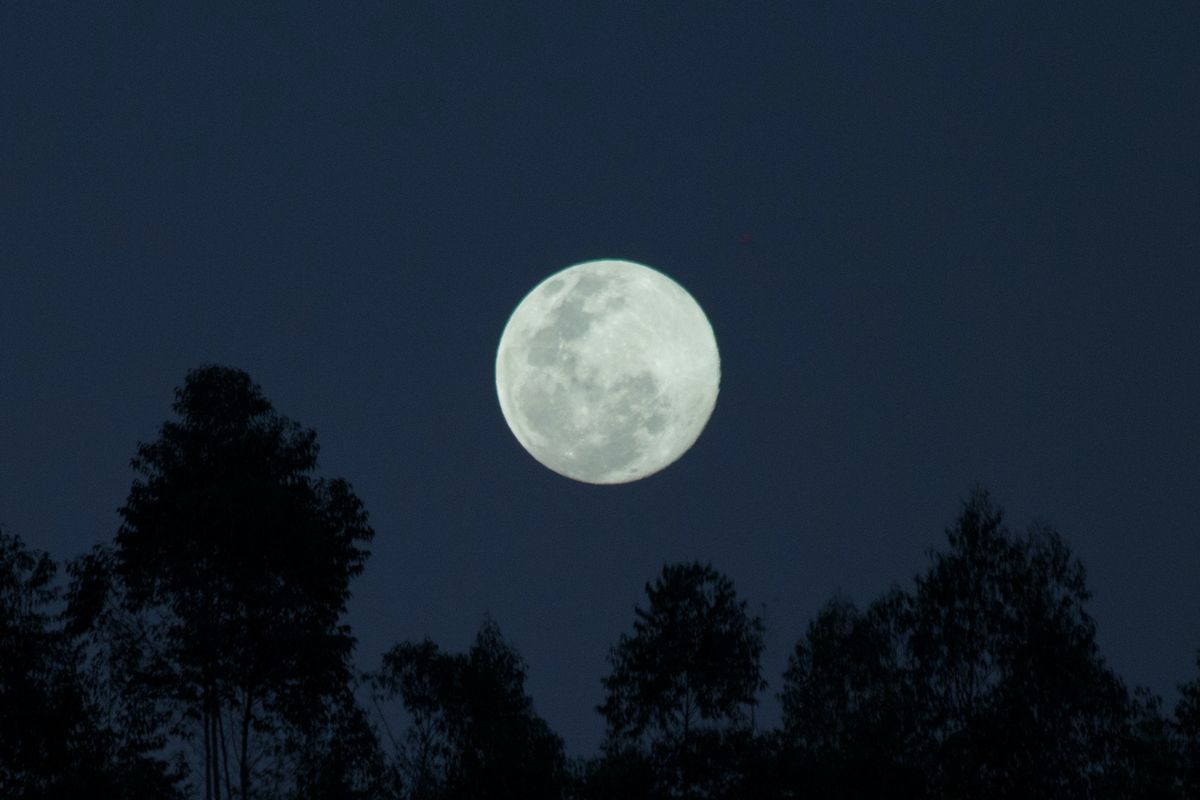 Ilustrasi bulan.