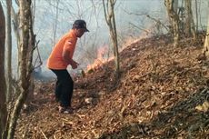Kebakaran Rusak Hutan Lindung Waduk Sermo di Kulon Progo