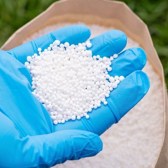 Ilustrasi pupuk urea dari ammonium