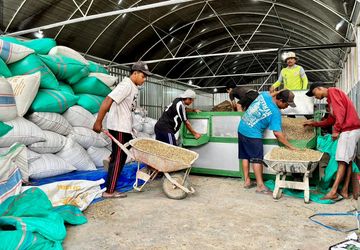 LPDB Salurkan Pembiayaan ke KDKMP Sidomulyo Jember untuk Dukung Ekspor Kopi