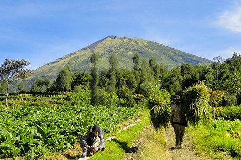 Catat, Ini Sanksi Pendaki Gunung Sindoro jika Buang Sampah Sembarangan