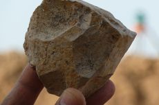 Mungkinkah Batu Ini Ungkap Tempat Kelahiran Anak Manusia?