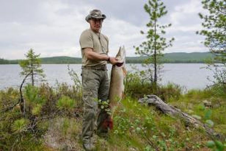 Presiden Rusia memamerkan ikan tangkapannya dari sebuah danau di wilayah Tuva, Siberia akhir pekan lalu. Kremlin mengklaim ikan tangkapan Putin itu seberat 21 kilogram.
