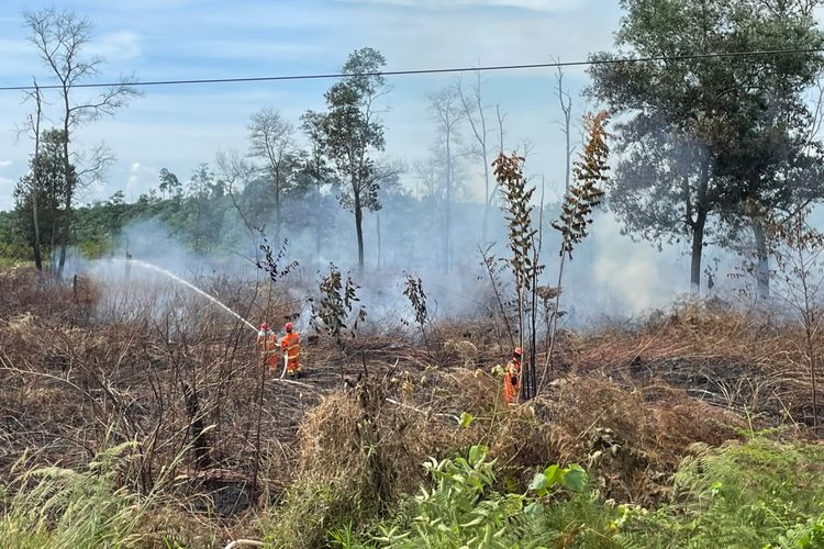 Tiga Pekan Dilanda 9 Kali Karhutla, 10 Hektare Lahan di Berau Hangus akibat Ulah Manusia