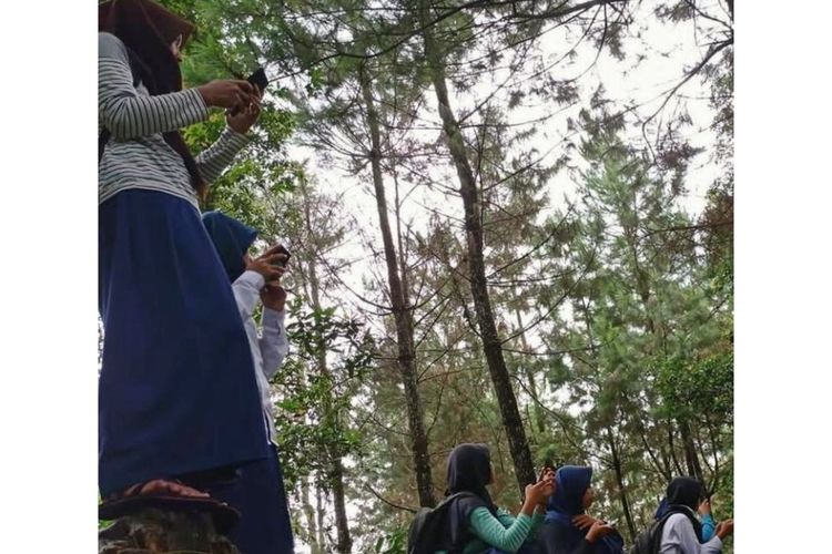 Siswa MTs Pakis, Dusun Pesawahan, Desa Gununglurah, Kecamatan Cilongok, Banyumas, Jawa Tengah mencari sinyal provider di hutan, Senin (1/12/2020)