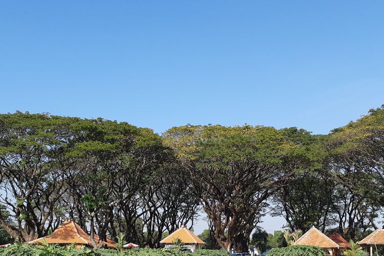 Ngrowo Bening Edu Park Madiun: Daya Tarik, Harga Tiket, dan Jam Buka