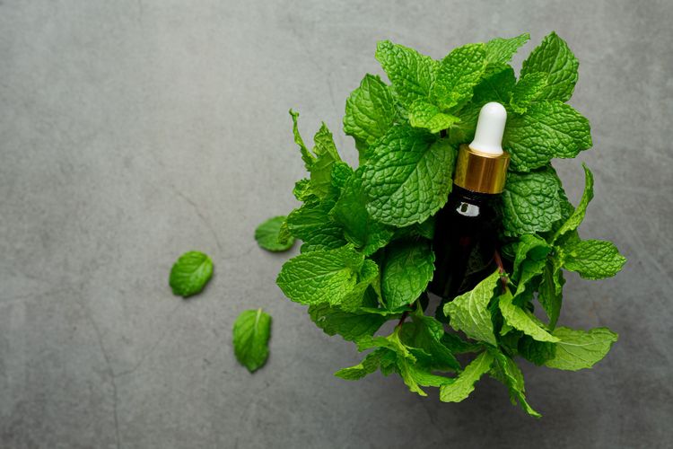 Minyak peppermint