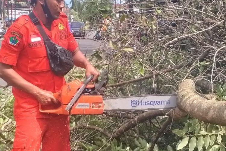 Salah satu penanganan pohon tumbang di Jalan Danau Bratan, Kedungkandang, Kota Malang pada Minggu (1/1/2023). 