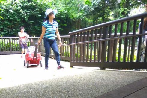 Singapore Zoo yang Ramah Anak dan Penyandang Disabilitas