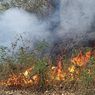 27 Hektar Lahan di Hutan Lindung Egon Ilinmedo Sikka Terbakar