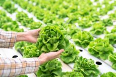 5 Hal yang Perlu Diperhatikan Sebelum Memulai Urban Farming “Vertikultur”