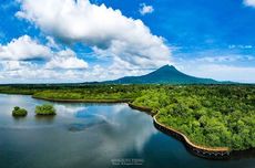 Ekosistem Gambut dan Mangrove Indonesia dalam Konstelasi Pemanasan Global