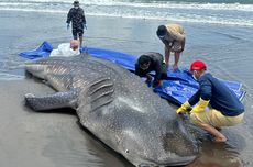 Alat Berat dari Polda Riau Buka Akses Jalan yang Terisolir Bencana di Agam