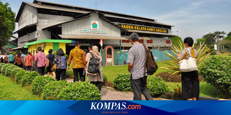 Perkebunan Nusantara Group Buka Lowongan Kerja Tertarik