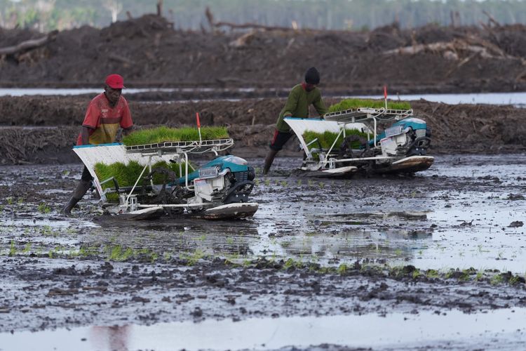Lahan 127 Hektar di Wanam Sempat Minus Air, Sumur Dalam Disiapkan