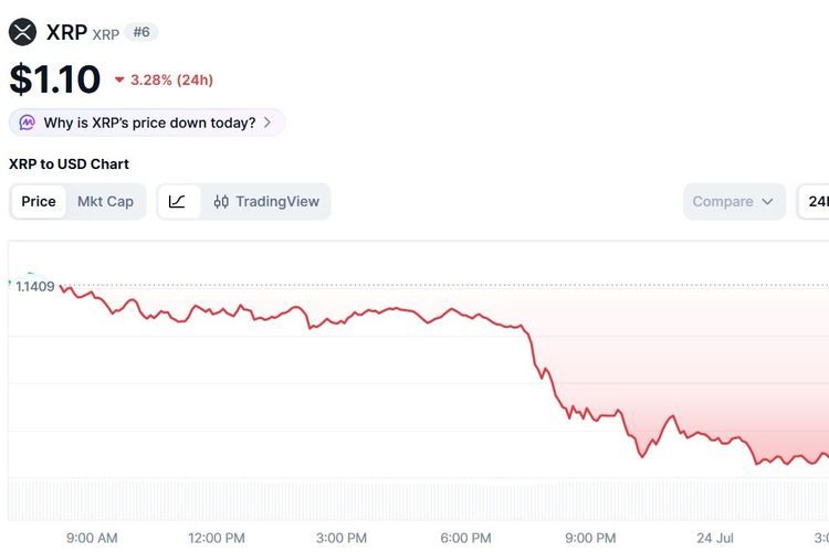 Harga XRP Hari Ini 24 Juli 2026 Turun Ikuti Gejolak Pasar Kripto