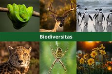 Biodiversitas Nusantara untuk Remediasi Pencemaran Lingkungan