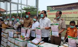 Kementan Musnahkan 6,1 Ton Benih Jagung Asal India
