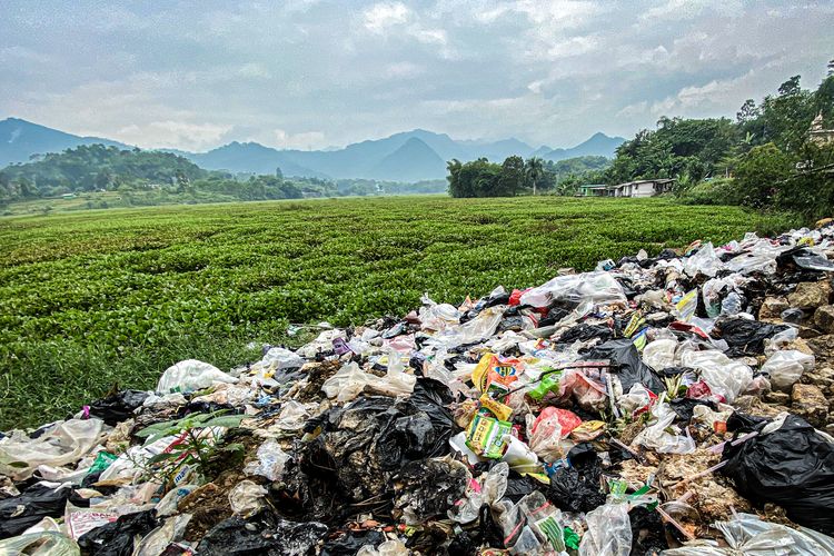 Tumpukan Sampah Picu Eceng Gondok Selimuti 94 Hektare Waduk Saguling, Ancam Ekosistem dan Produksi Energi