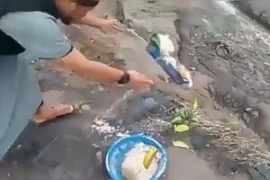 Polisi Ungkap Identitas Penendang Sesajen di Lokasi Gunung Semeru, Berasal dari Lombok