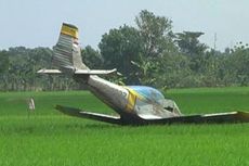 Sebelum Jatuh ke Sawah, Pesawat Latih TNI Tabrak Pohon