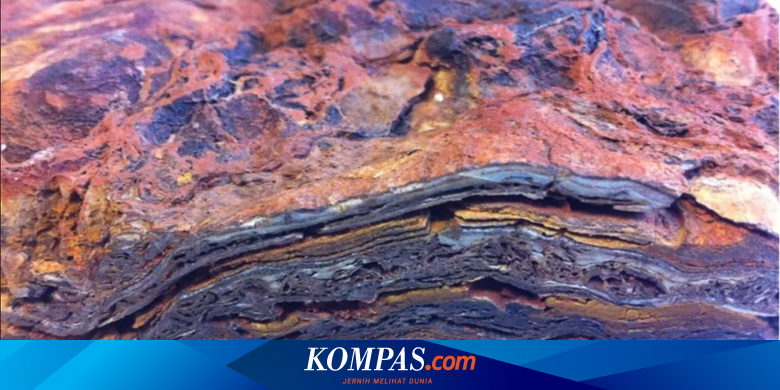 3.5 billion year old rock structure, thus the oldest sign of life on