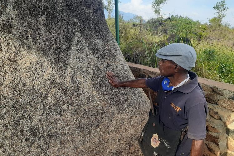 Corry Ohee, salah satu pelukis kulit kayu, saat melihat gambar ikan di pongkahan batu besar yang berada di Situs Megalitik Tutari, Kampung Doyo Lama, Distrik Waibu, Kabupaten Jayapura, Papua.