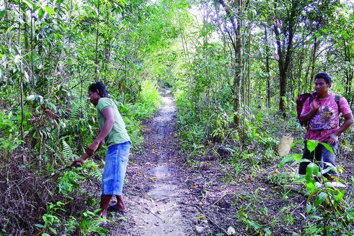 Riyadi (kiri) dan Ube Tito, anggota Tim Serbu Api Kalimantan Tengah, memeriksa kondisi pepohonan serta tingkat kekeringan di Hutan Kalampangan, Kecamatan Sebangau, Palangkaraya, Kalteng, Minggu (27/2). Tim itu bertugas memantau hutan, mencegah potensi munculnya api, serta melakukan pemadaman jika terjadi kebakaran.