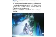 Beredar Video Kucing Dipukuli Sampai Mati di Bekasi, Animal Defender Akan Lapor Polisi