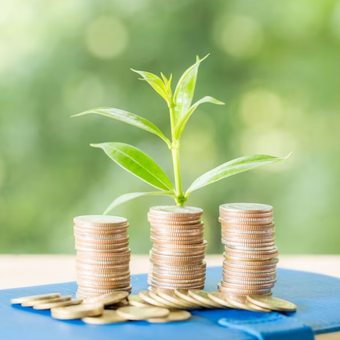 Ilustrasi investasi. 