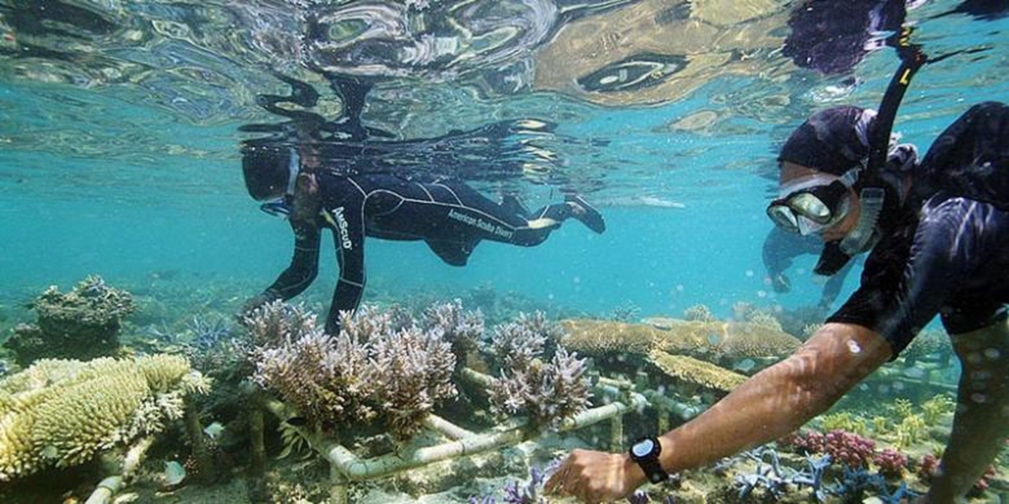 Liburan Ke Kepulauan Seribu Ini Panduan Harga Tiket