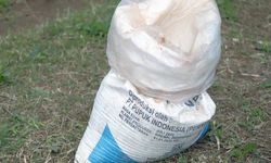 Pemda dan Petani Aceh Sambut Gembira Tambahan Alokasi Pupuk Subsidi