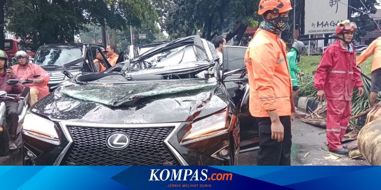 Le conducteur de Lexus qui a été heurté par un arbre à Pondok Indah est décédé alors qu’il était sur le point d’être évacué.