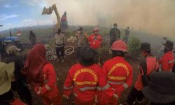 Musim Kemarau, 2,8 Juta Hektare Gambut di Kalbar Terancam Terbakar