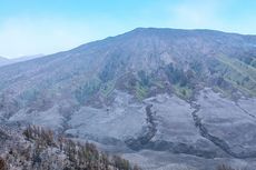 Kebakaran di Bromo Akhirnya Padam, Bisakah Rumput di Savana Tumbuh Lagi?