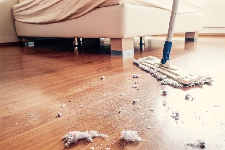 Ilustrasi membersihkan debu di lantai rumah. 