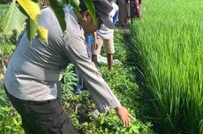 Dasco soal Kemungkinan Pemakzulan Bupati Aceh Selatan: Kami Serahkan ke DPRD