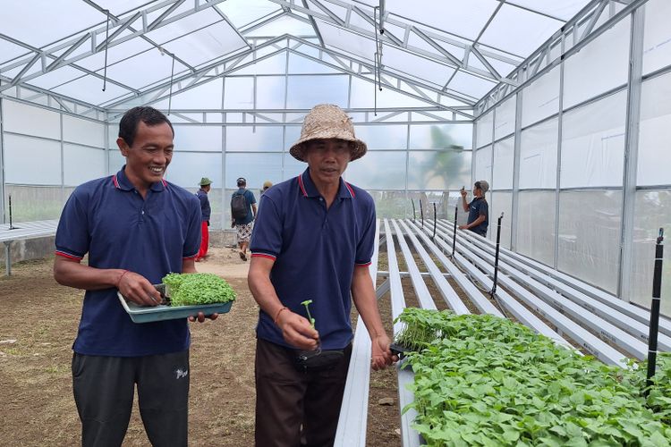 Rumah Semai pemberian BI untuk KTT Mekar Nadi Sari.