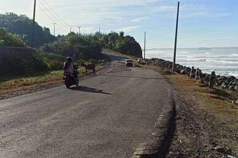 Pengusaha Bus: Sejumlah Titik Rawan Longsor dan Jalan Rusak Ancam Jalur Mudik di Bengkulu