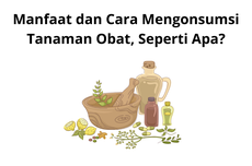 Manfaat dan Cara Mengonsumsi Tanaman Obat, Seperti Apa?