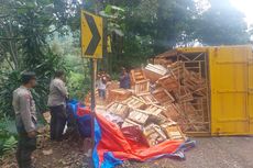 Truk Pengangkut Buah Terguling di Jalur Perbatasan Banyuwangi-Jember