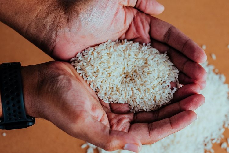 Ilustrasi beras.  Harga beras di sejumlah wilayah Sulawesi Selatan (Sulsel) melonjak tajam hingga menembus angka Rp17.000 per kilogram, tertinggi sepanjang sejarah pada pertengahan 2025.