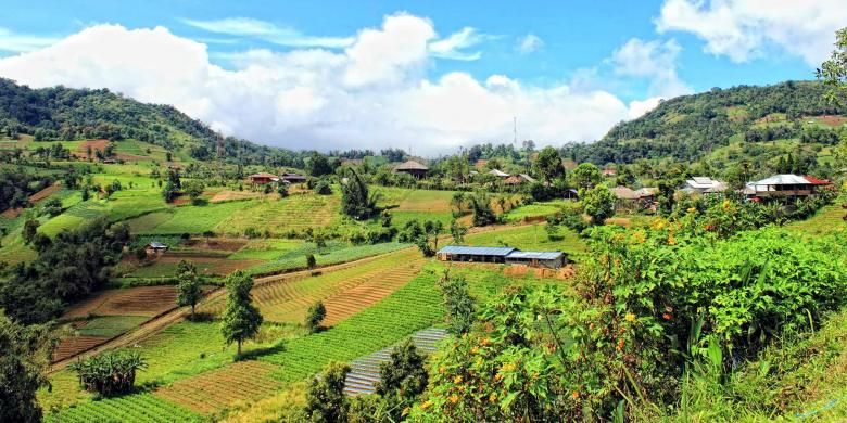 Perkebunan sayur di Rurukan, Kota Tomohon, Sulawesi Utara dengan pemandanganya yang asri dan berhawa sejuk.