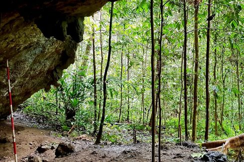 Alat-alat Batu di Goa Maluku Utara Beri Petunjuk Manusia Pelintas Pulau