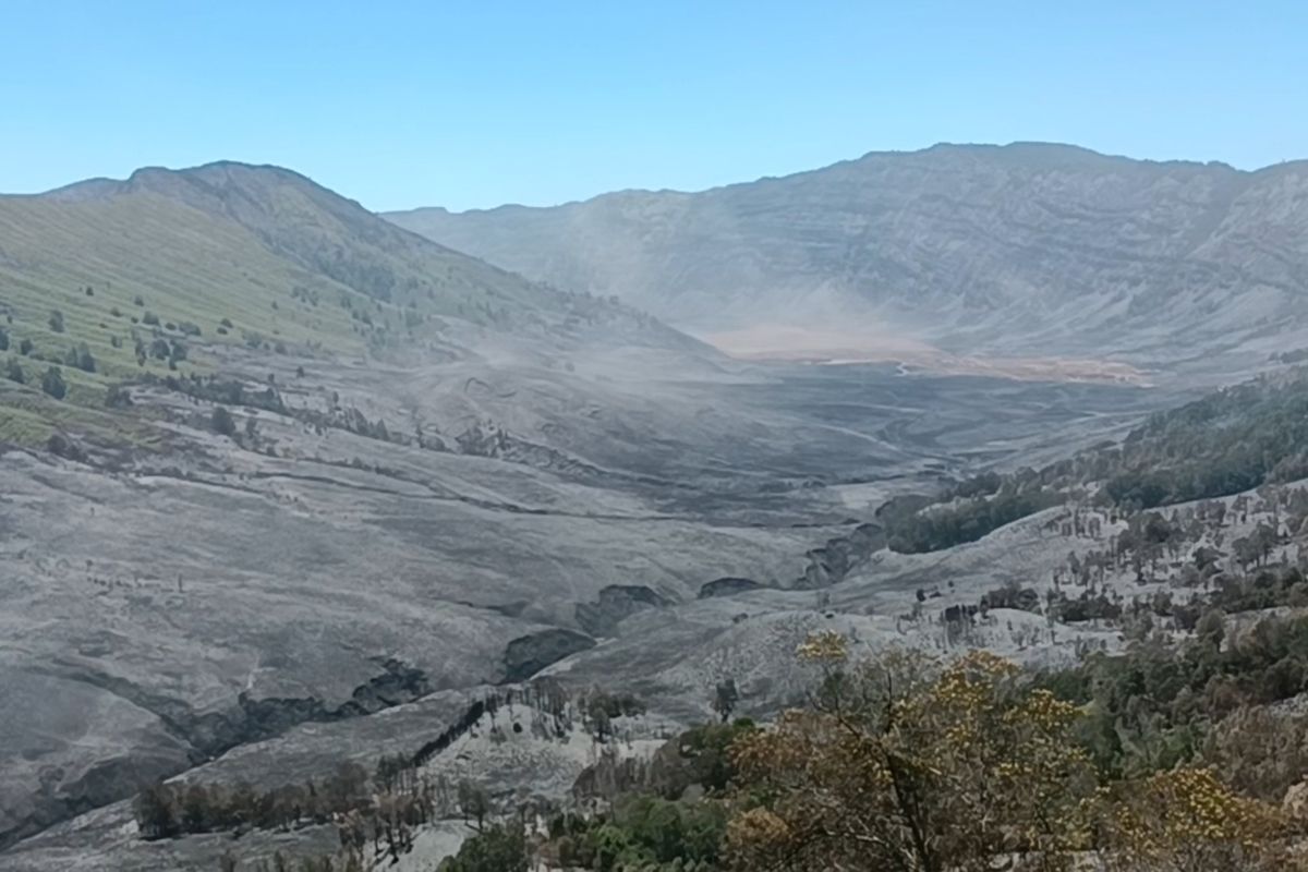 Kawasan bukit Jemplang, Taman Nasional Bromo Tengger Semeru (TNBTS) gosong akibat kebakaran hutan dan lahan.