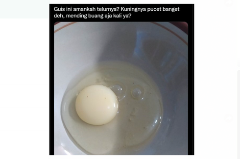 Viral Unggahan Kuning Telur Berwarna Pucat, Apakah Layak Dikonsumsi?