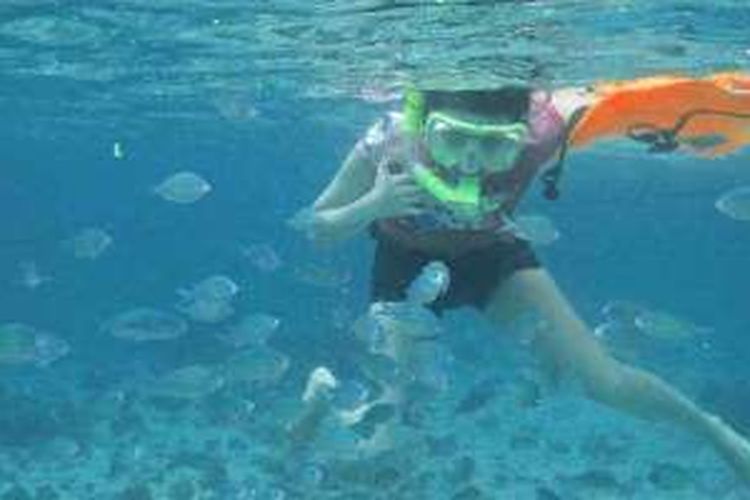  Snorkeling di Gili Petelu, Kabupaten Lombok Timur, Nusa Tenggara Barat.