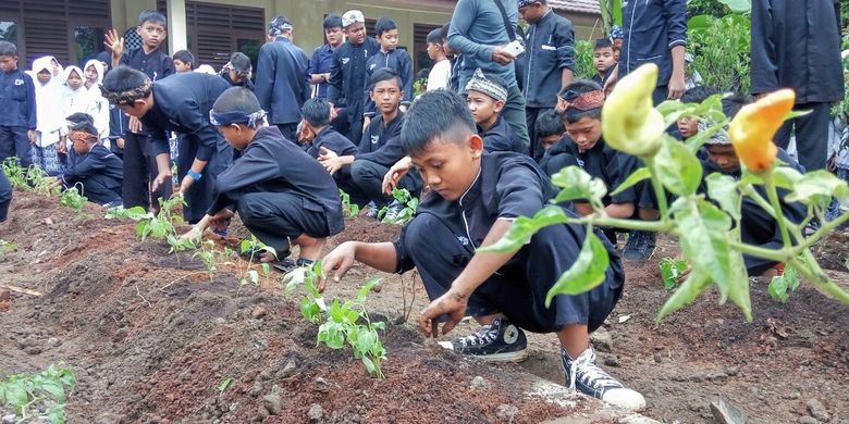 Siswa SDN Ciwangi Purwakarta menanam bersama pohon cabai rawit. Kegiatan ini merupakan bagian dari pendidikan vokasional yang ada di Purwakarta, Selasa (10/1/2016).